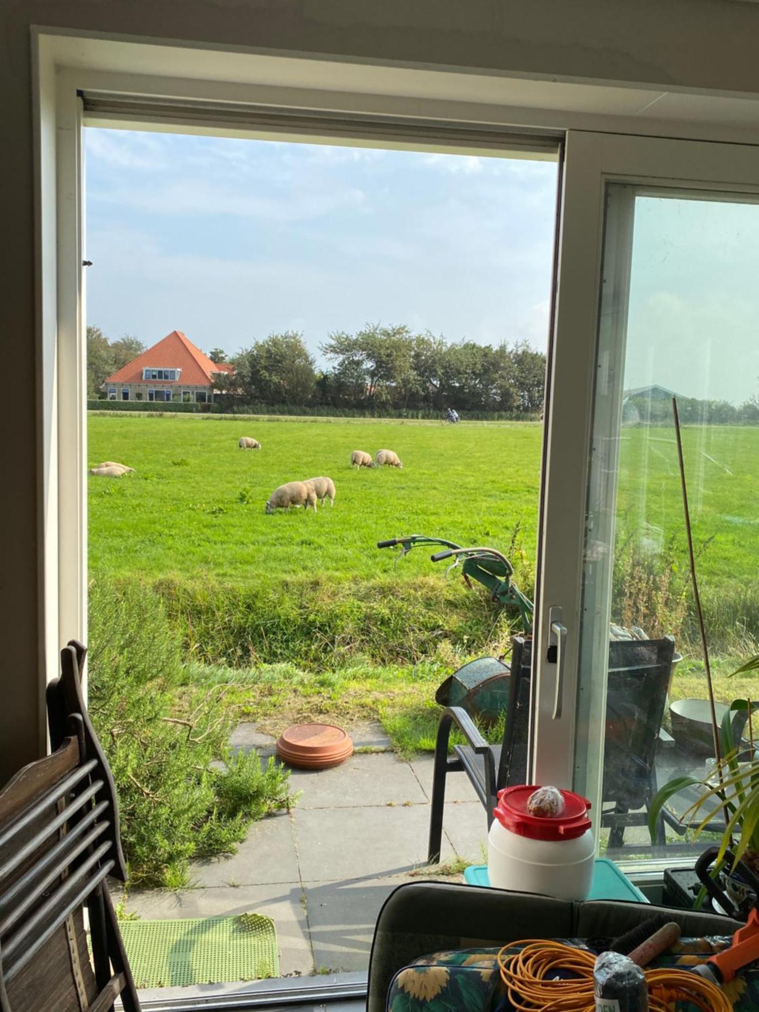 Oomes Huus Haestens And Koffie Den Hoorn  Dış mekan fotoğraf