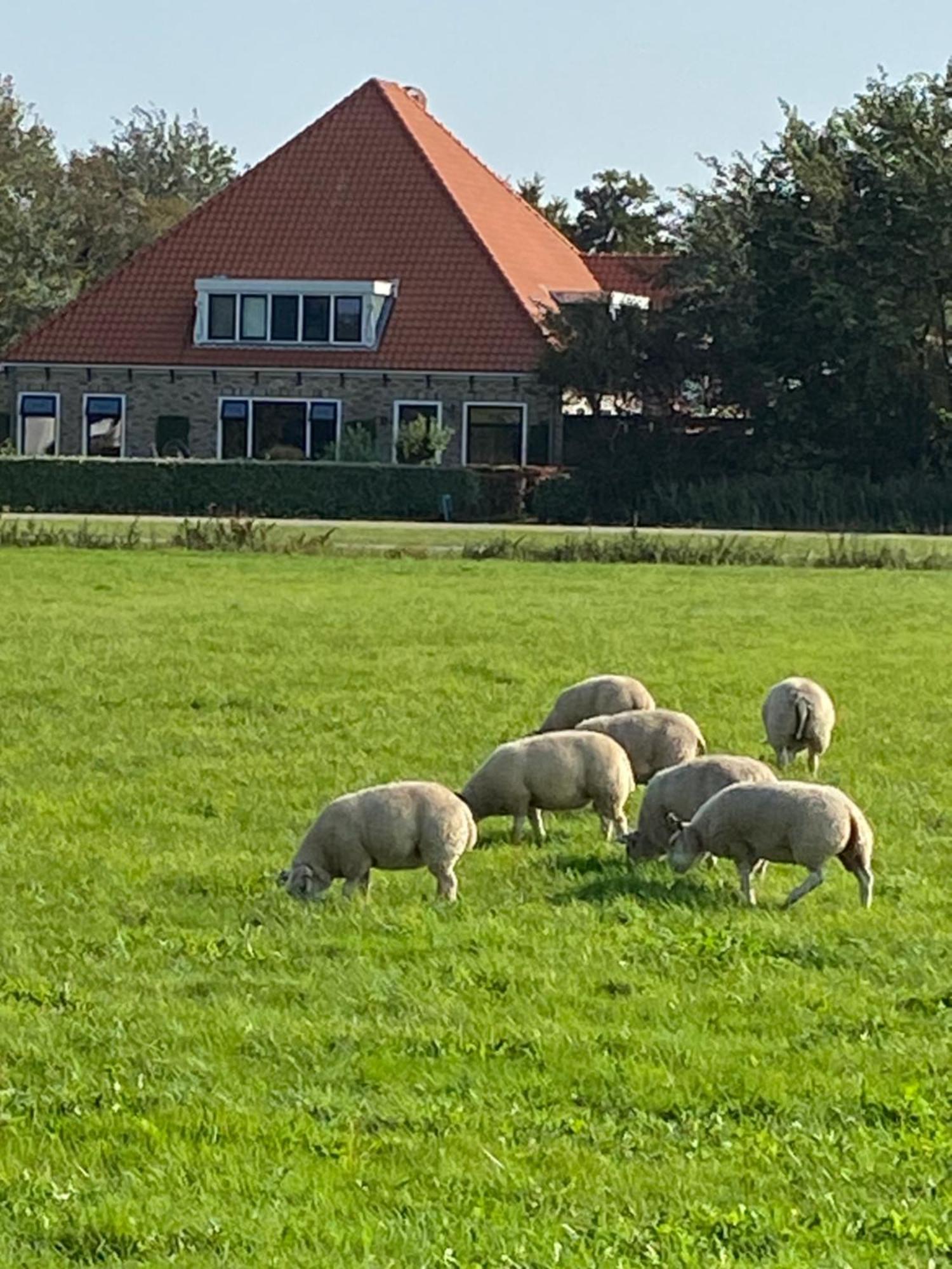 Oomes Huus Haestens And Koffie Den Hoorn  Dış mekan fotoğraf
