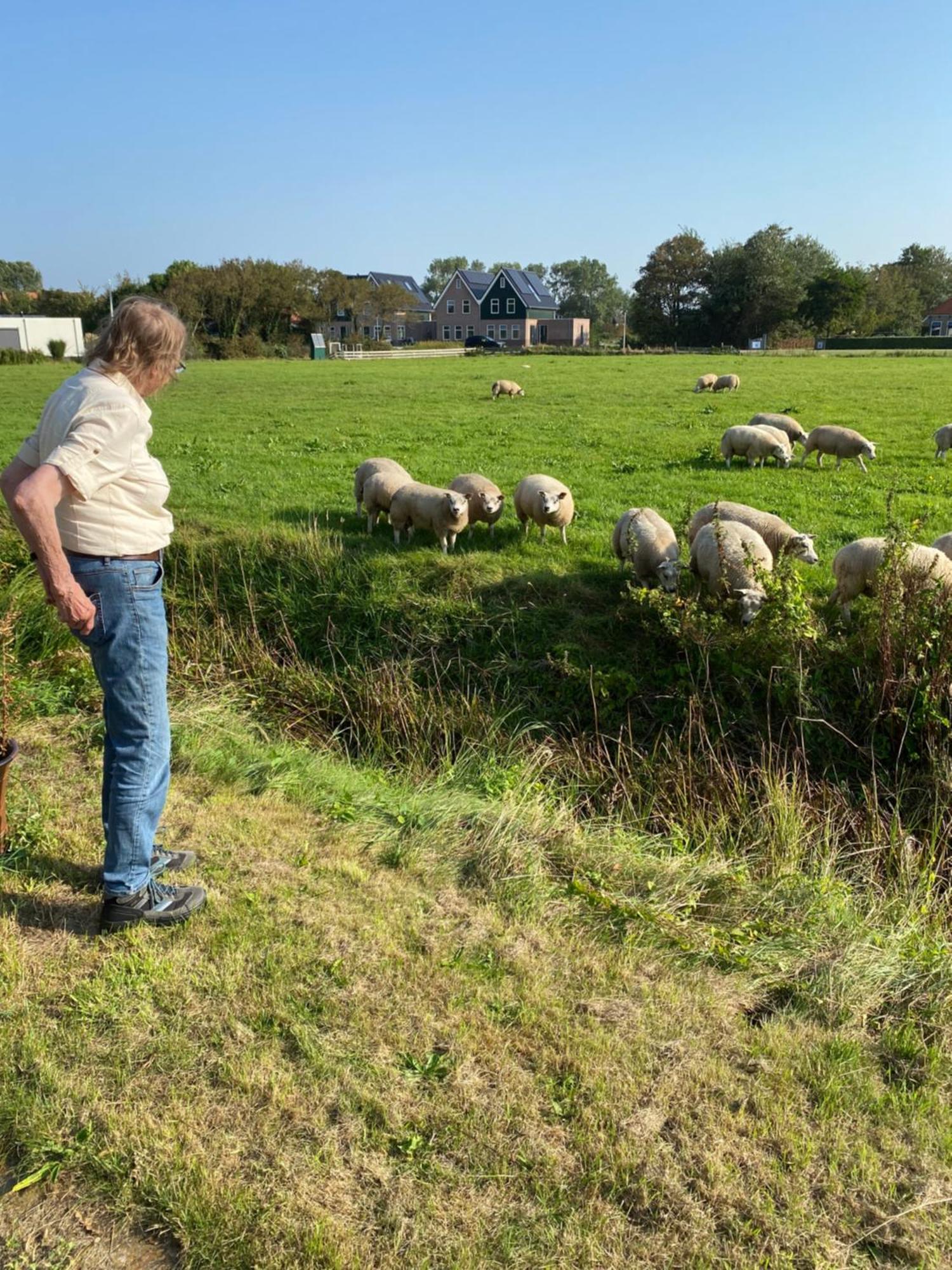 Oomes Huus Haestens And Koffie Den Hoorn  Dış mekan fotoğraf
