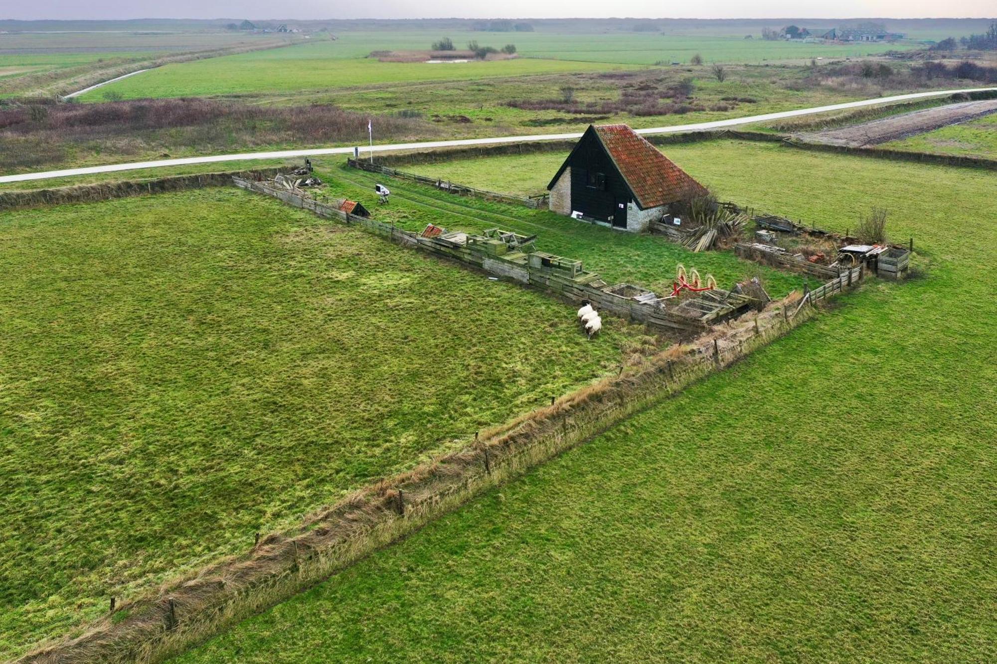 Oomes Huus Haestens And Koffie Den Hoorn  Dış mekan fotoğraf
