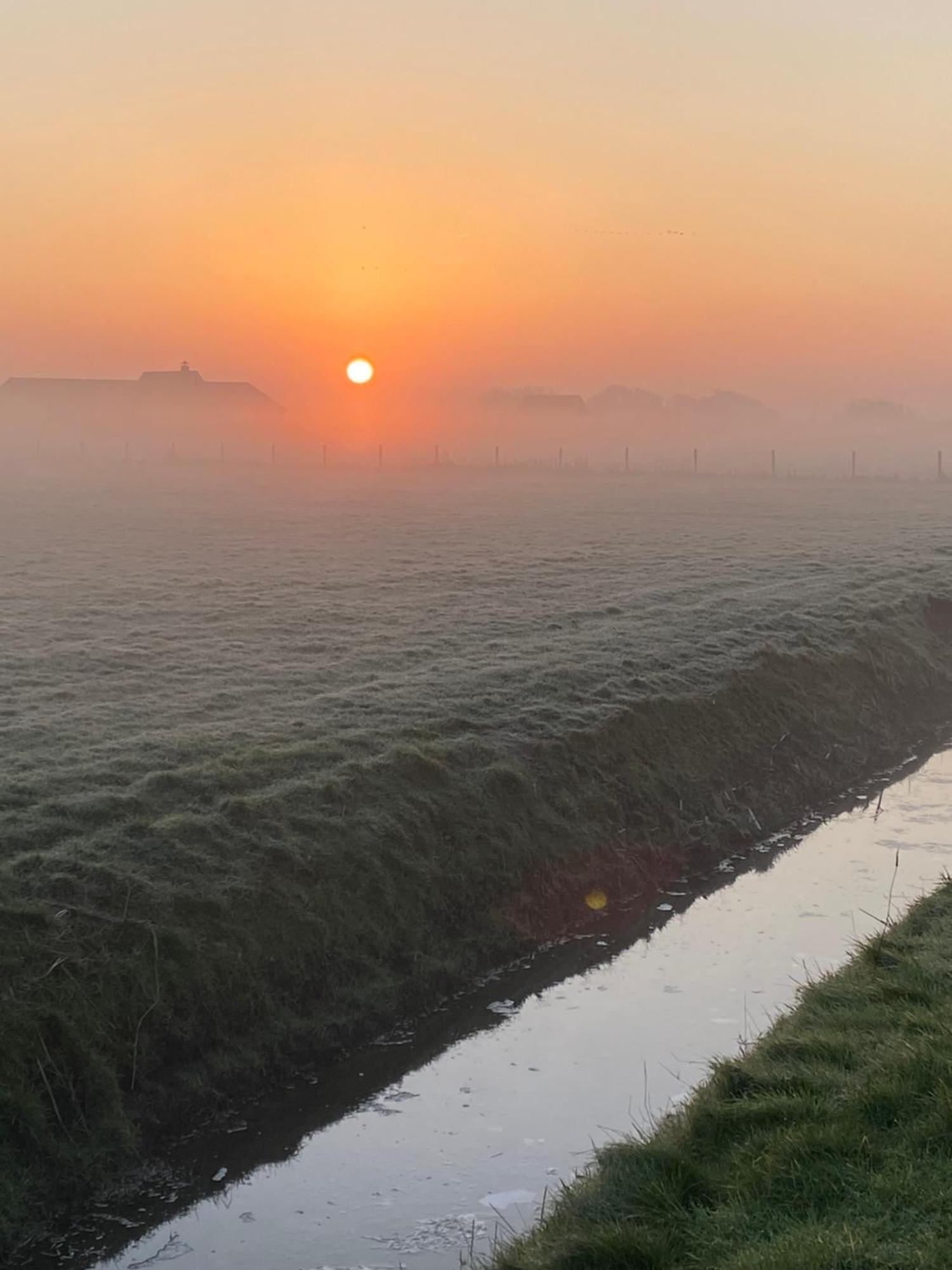 Oomes Huus Haestens And Koffie Den Hoorn  Dış mekan fotoğraf