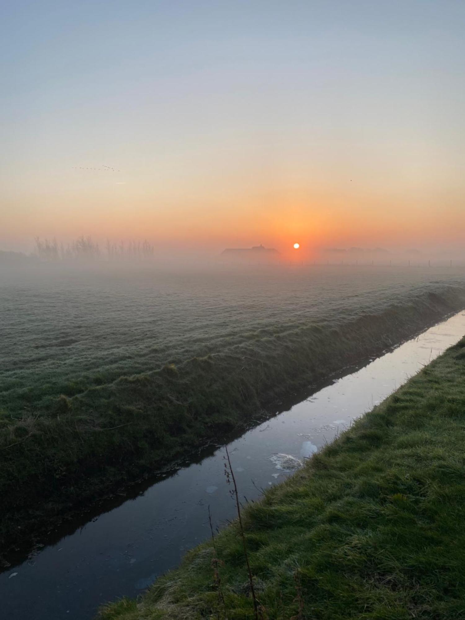 Oomes Huus Haestens And Koffie Den Hoorn  Dış mekan fotoğraf