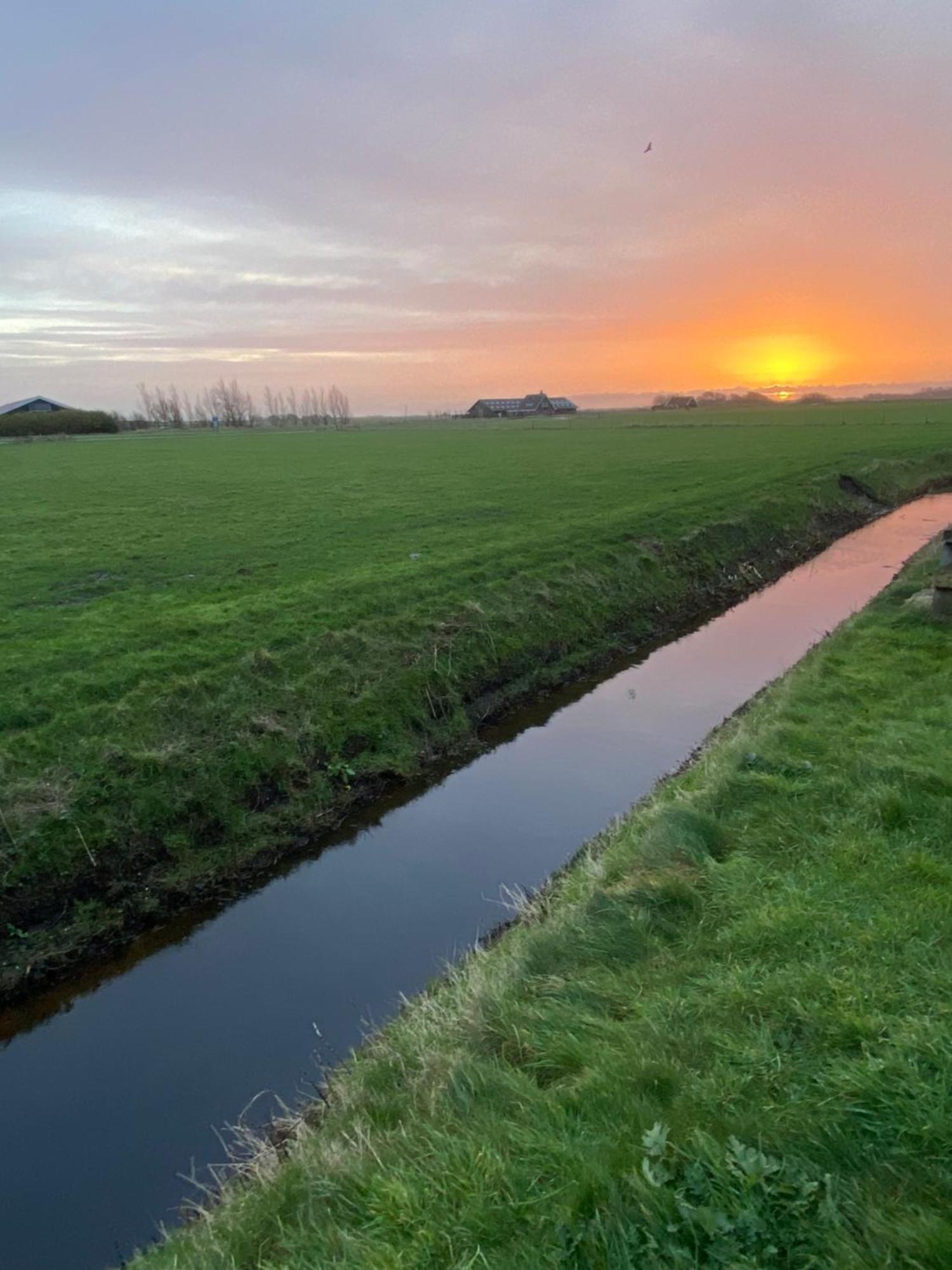 Oomes Huus Haestens And Koffie Den Hoorn  Dış mekan fotoğraf