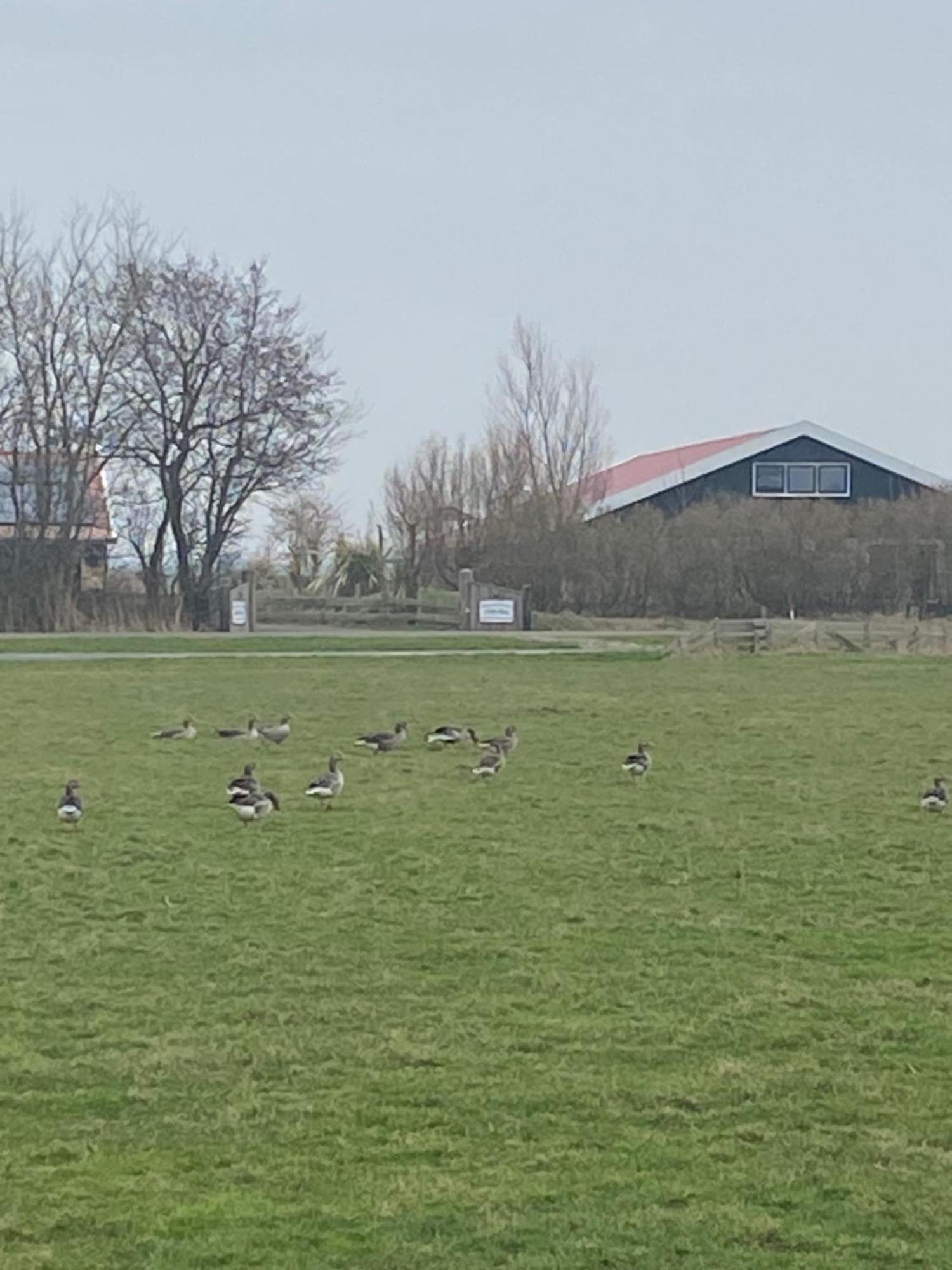 Oomes Huus Haestens And Koffie Den Hoorn  Dış mekan fotoğraf