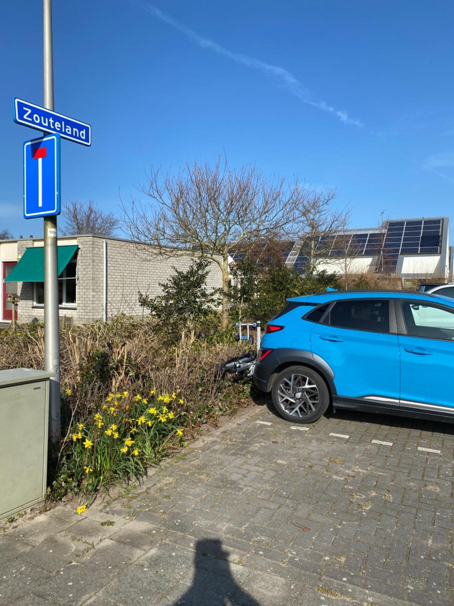 Oomes Huus Haestens And Koffie Den Hoorn  Dış mekan fotoğraf